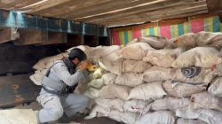 **Bakamla Tangkap Kapal Selundup 400 Karung Bawang Merah di Kepri, Pemeriksaan Membongkar Dana Kekurangan Dokumen**
