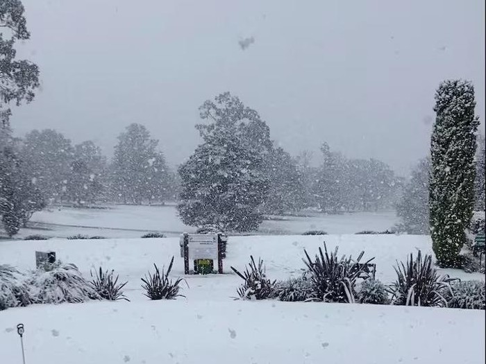 Salju Tebal Merupakan Fenomena Langka yang Menyelimuti Beberapa Kota di Australia
