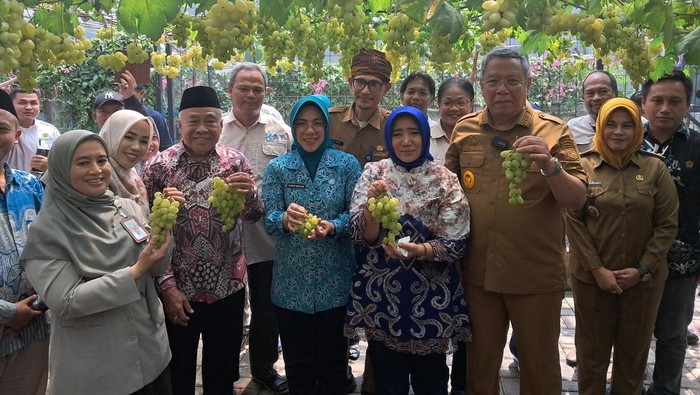 **Benyamin Davnie dan Tinawati Andra Soni Hadiri Panen Anggur Lokal di Tangsel, Dukung Pertanian Hortikultura**