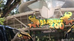 Bandung Zoo Ditutup, Ancaman Ekologis bagi Keanekaragaman Hidup?
