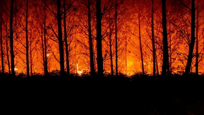 **Kebakaran Hutan di Prancis: 11.000 Hektare Ludes, Seorang Warga Tewas dalam Tragedi Menyedihkan**