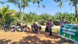 Polres Rohul Dorong Ketahanan Pangan, Tanam Jagung Bareng Para Santri – Update 1