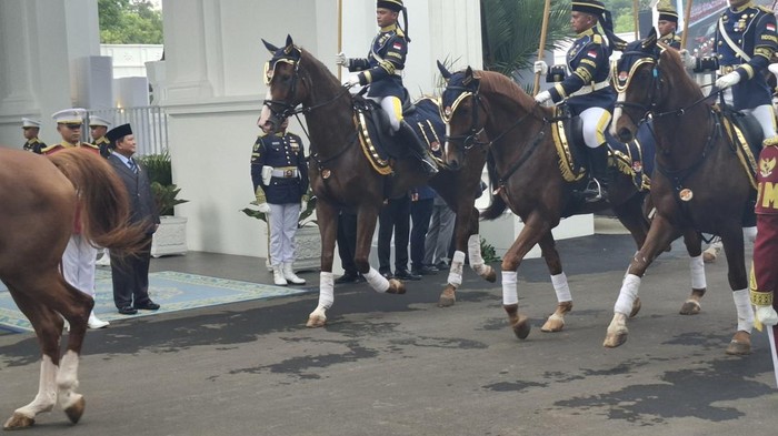 **Prabowo Sambut Presiden Peru Dina Boluarte di Istana Merdeka, Bicarakan Ini**