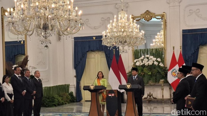 Prabowo dan Peru Bersatu Dukung Palestina Merdeka: Mewujudkan Solusi 2 Negara