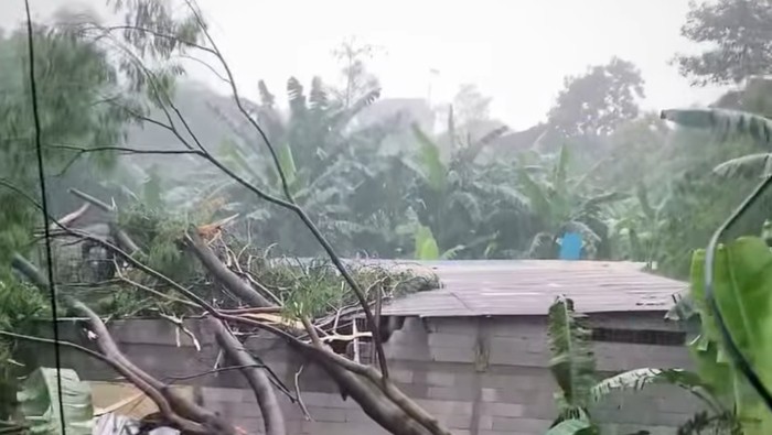 **Bencana Alam di Bekasi: Pohon Tumbang Hancurkan Gudang, Beberapa Karyawan Cidera**