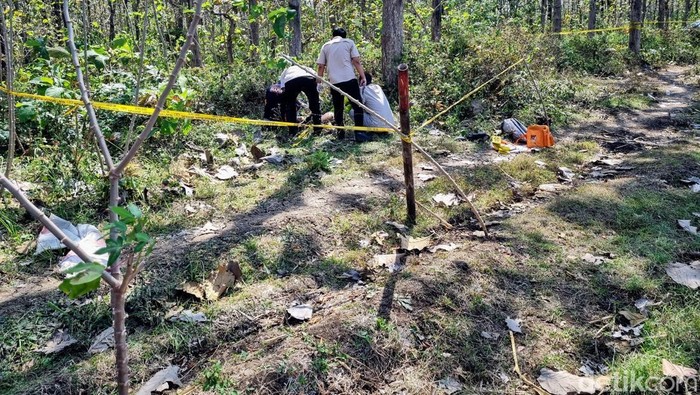 Mayat Wanita Ditemukan di Hutan Ponorogo, Luka di Kepala dan Pakaian yang Nyaris Bugil