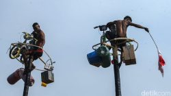 “Pemkab Aceh Barat-Aceh Jaya Larang Lomba Panjat Pinang, Ini Alasannya”