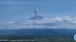 **Gunung Semeru Meletus, Kolom Abu Mencapai 1.000 Meter di Atas Puncak!**