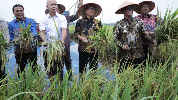 Mendes Yandri Puji Kolaborasi Kejaksaan-Petani Wujudkan Swasembada Pangan - Update 1