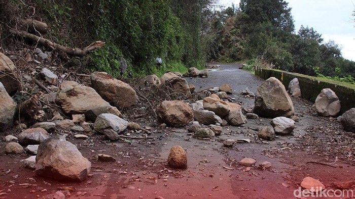 **Tragedi Tambang Emas di Tanzania: 25 Pekerja Tertimbun Tanah, Penyelamatan Berlangsung**