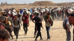 **”Pakar Ingatkan Dampak Rencana RI Rawat Warga Gaza di Pulau Galang: Strategi Israel Tersembunyi?”**