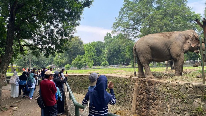 TM Ragunan: Wisata Ekonomis yang Jadi Favorit Liburan HUT RI Ke-80