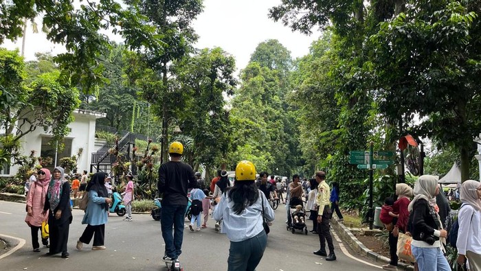 **Viral Wanita Sebut Kena Pungli di Kebun Raya Bogor, Pengelola Tepis Rp 700 Ribu**