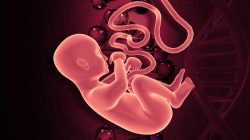 “Wanita di Mataram Pura-pura Temukan Janin Bayi, Ternyata Ibu Kandungnya: Kisah Mengejutkan di Balik Misteri”