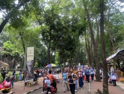 Malam Ragunan Menyuguhkan Udara Sejuk, Warga Antusias Nikmati Wisata Baru