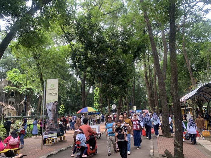 Malam Ragunan Menyuguhkan Udara Sejuk, Warga Antusias Nikmati Wisata Baru