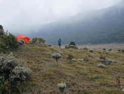 Gede Pangrango Ditutup, Banyak Pendaki Buang Sampah Sembarangan!