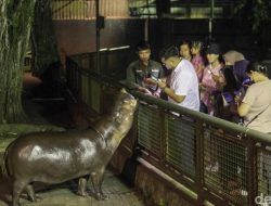 “2,299 Warga Serbu Misteri Ragunan Hari Ini!”