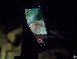 **Pengunjung Wisata Malam Ragunan Kecewa, Ini Penjelasan Pihak Pengelola Tentang Tak Bisa Melihat Satwa!**