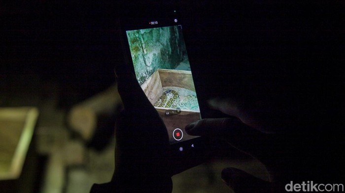 **Pengunjung Wisata Malam Ragunan Kecewa, Ini Penjelasan Pihak Pengelola Tentang Tak Bisa Melihat Satwa!**