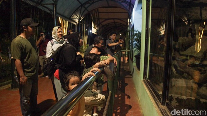 Malam Pertama TM Ragunan, Warga Beramai-Arami Sambut Antusiasme Tinggi
