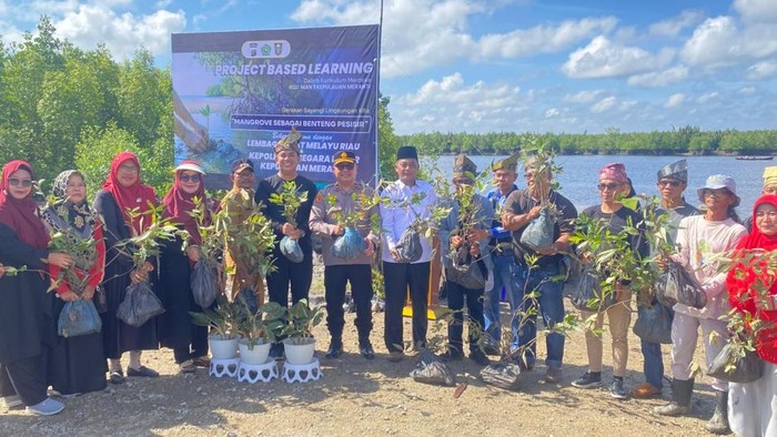 Siswa MAN 1 Meranti Tanam 200 Mangrove, Selamatkan Pulau dari Abrasi