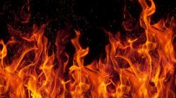 Bus Terbakar di Rajasthan, Kecelakaan Mengerikan dengan 20 Orang Tewas