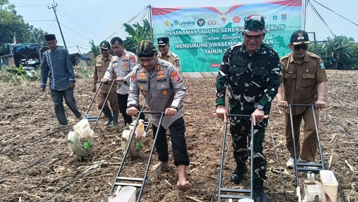Polres Serang Berani, Tanam 471 Hektare Jagung untuk Kebutuhan Pangan!!!