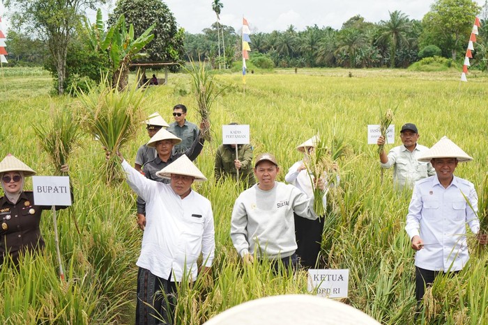 **Sultan B. Najamudin Serahkan Alsintan dan Benih Jagung untuk Petani Mukomuko**