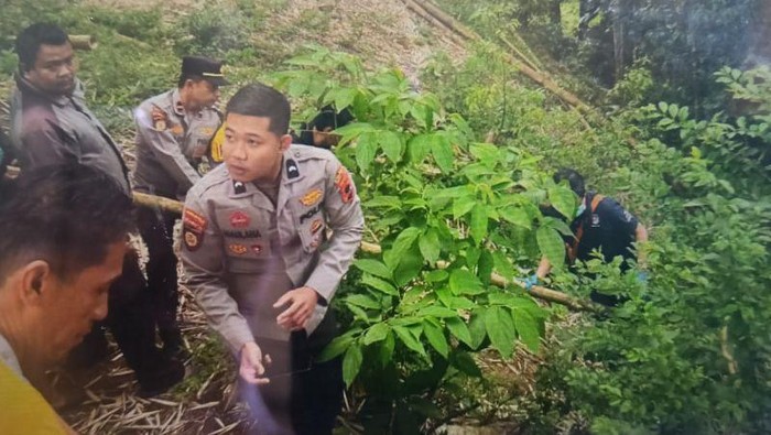 **Misteri Mayat Bayi Terpotong 3 di Ngarai Sianok: Kepala-Badan Terpisah, Apa yang Sebenarnya Terjadi?**