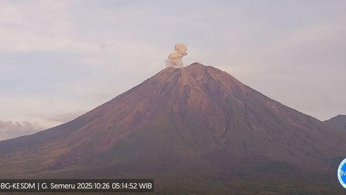 [Gunung Semeru Meletus Dua Kali, Letusan Mencapai 700 Meter!
