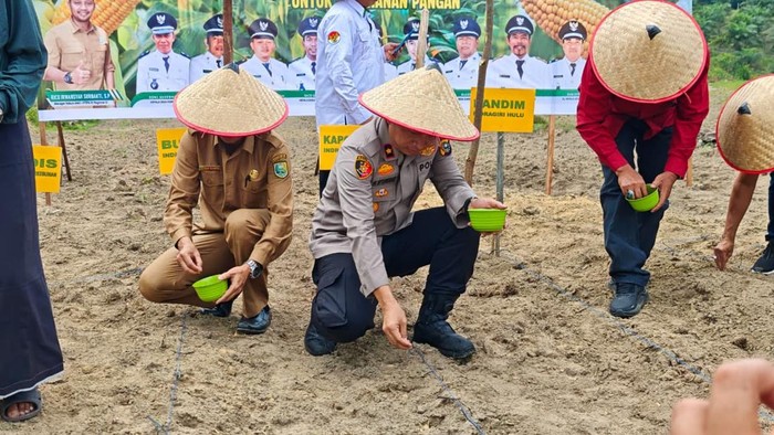 Tanam Jagung 10 Hektare, Polres Inhu Dukung Swasembada Pangan