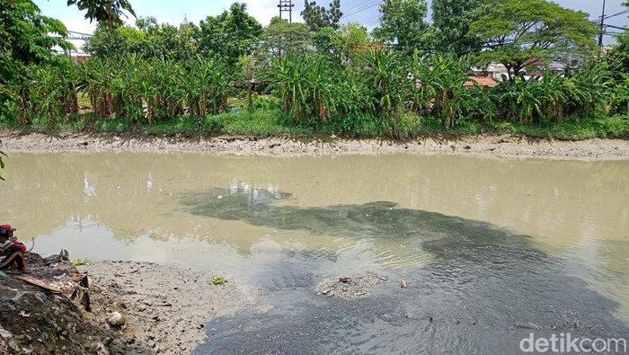 Viral Ikan-ikan di Sungai Jagir Surabaya Naik ke Permukaan - Update 1
