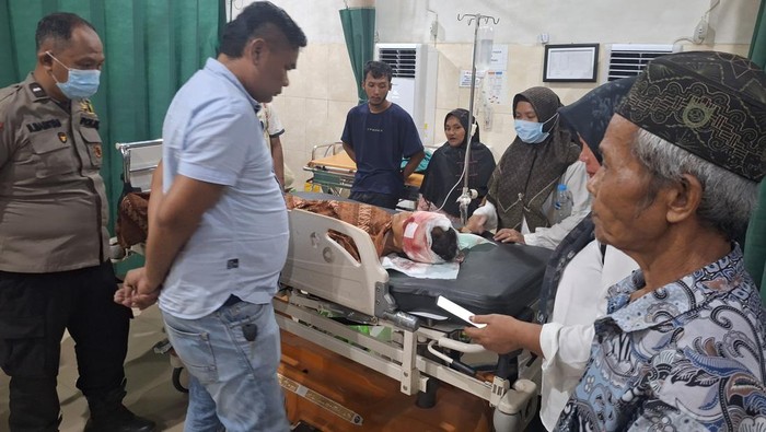 Tragedi Petani Muaro Jambi: Diterkam Beruang saat Sadap Karet, Nyawa Taruhannya!