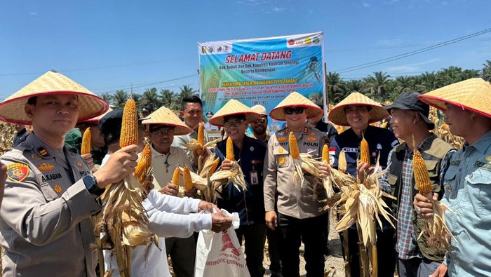 [Dukung Ketahanan Pangan, Polres Kuansing Rebut Peringkat Pertama dengan 50 Ton Jagung]