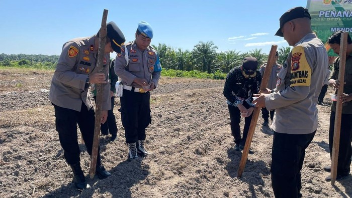 Tanam Jagung Perdana Kuartal IV, Polres Dumai Dukung Ketahanan Pangan dengan Aksi Konkrit!