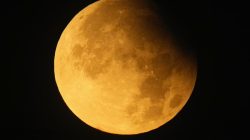 “Bintang Laut Menyala, Tips Memotret Bulan saat Supermoon Besok, Cek di Sini!”