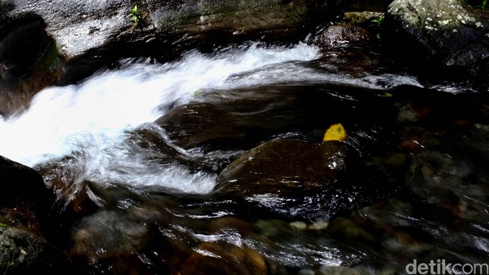 Aksi Cepat Polisi BSD Selamatkan Remaja Hilang Loncat Sungai, Penyelamatan Berhasil Setelah Pencarian Intensif