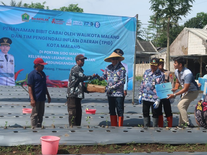 Pemkot Malang Bersama TPID Tingkatkan Produksi Cabai, Stabilkan Pasar, dan Turunkan Harga!
