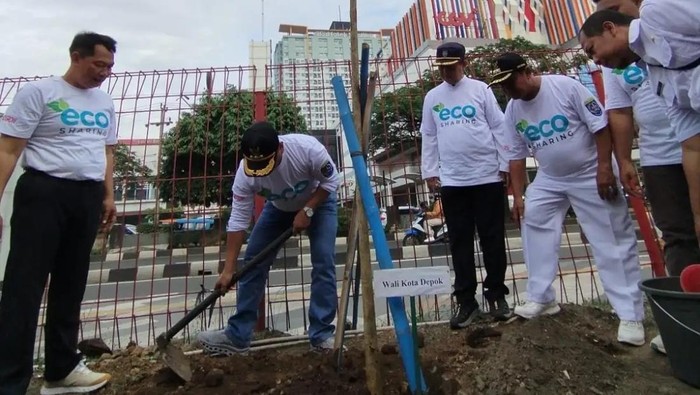 Bak Jepang, Jalan Margonda Raya Depok Bakal Ditanami Pohon Tabebuya - Update 1