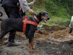 Anjing Pelacak Bantu Polisi Temukan Lokasi Pengepungan Jasad Alvaro di Tenjo