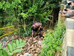 **Anjing Pelacak Turun Sisir Jembatan, Mencari Kerangka Bocah Alvaro di Tenjo**