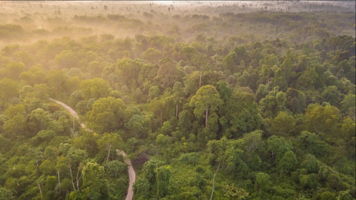 **Polda Riau Tegas Usut Perusakan Pos Satgas TNTN, Tindak Tegas Terhadap Anarkisme**