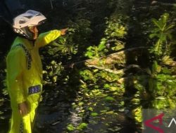 Longsor Maut di Lembah Anai Sumbar, Akses Padang-Bukittinggi Terpotong!