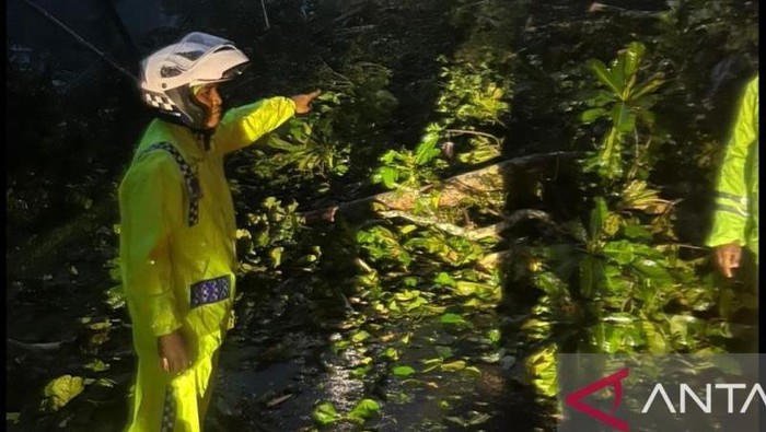 Longsor Maut di Lembah Anai Sumbar, Akses Padang-Bukittinggi Terpotong!