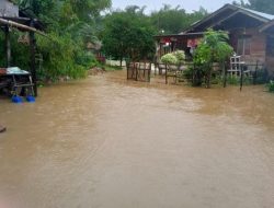 Banjir dan Longsor Aceh Mengguncang 97.384 Jiwa, Aceh Timur Terpukul Terburuk!