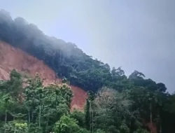 7 Orang Tertimbun Longsor di Pasaman Barat Sumbar, 1 Selamat: BPBD Segera Tanggap Darurat