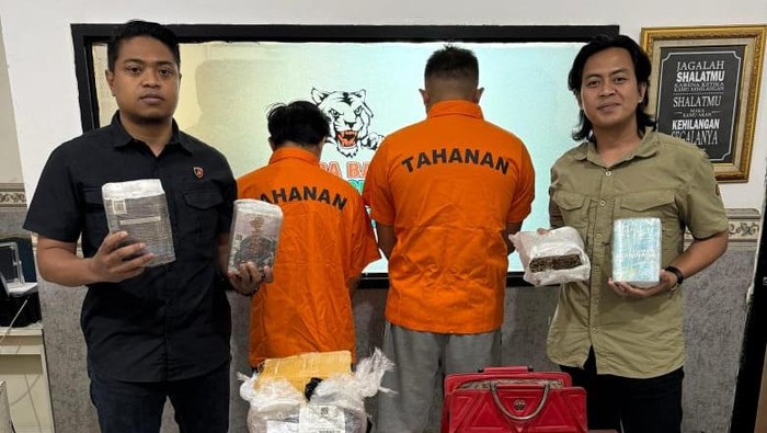 Instagram Jadi Alat Perdagangan Ganja, Polda Banten Bongkar Jaringan, 2 Orang Tertangkap