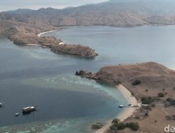 [KPK Kaget: Tambang Ilegal Muncul di Taman Nasional Komodo?!]