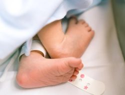 Pria Malaysia Cabuli Bayi 9 Bulan, Polisi Pastikan Tindakan Hukuman Tegas